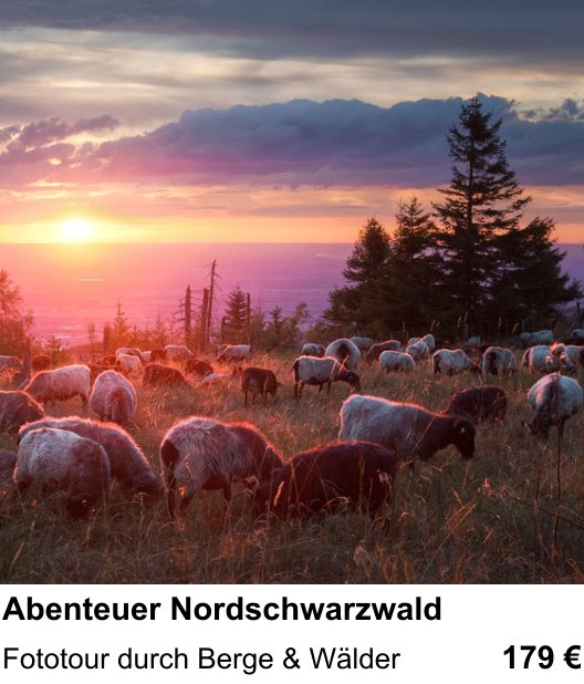 Kompositorischer Fotokurs – Abenteuer Nordschwarzwald und Fototour durch Berge & Wälder