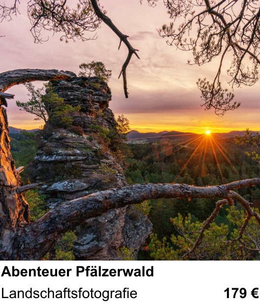 Kompositorischer Fotokurs – Abenteuer Pfälzerwald und Landschaftsfotografie