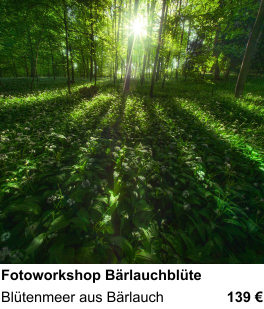 Kompositorischer Fotokurs – Fotoworkshop Bärlauchblüte und Blütenmeer aus Bärlauch