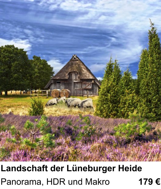 Kompositorischer Fotokurs – Landschaft der Lüneburger Heide und Panorama, HDR und Makro