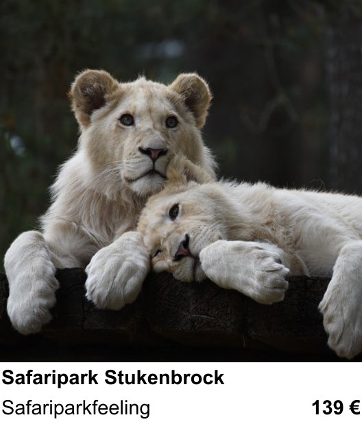 Kompositorischer Fotokurs – Safaripark Stukenbrock und Safariparkfeeling