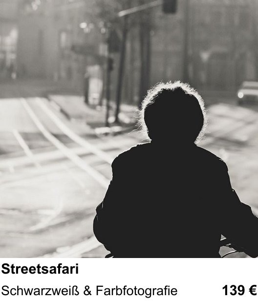 Streetsafari erleben und fotografieren in Münster