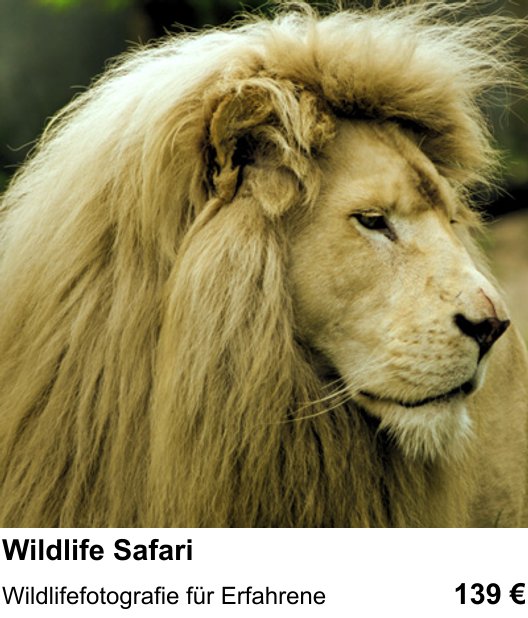 Wildlife Safari erleben und fotografieren in Münster