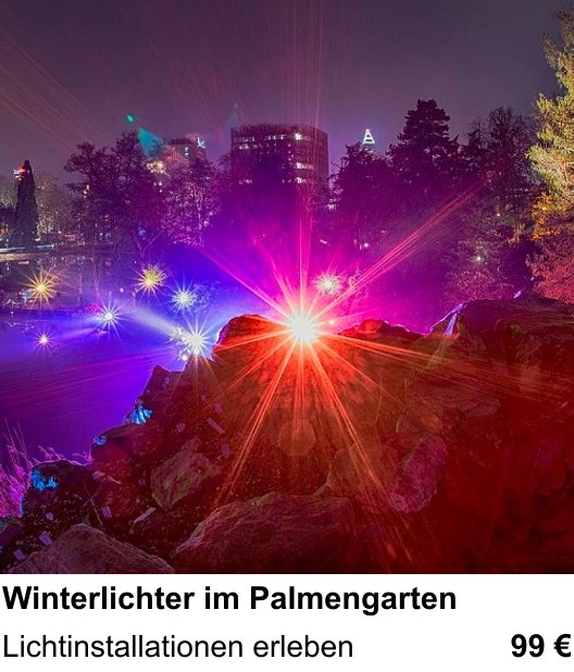 Kompositorischer Fotokurs – Winterlichter im Palmengarten und Lichtinstallationen erleben